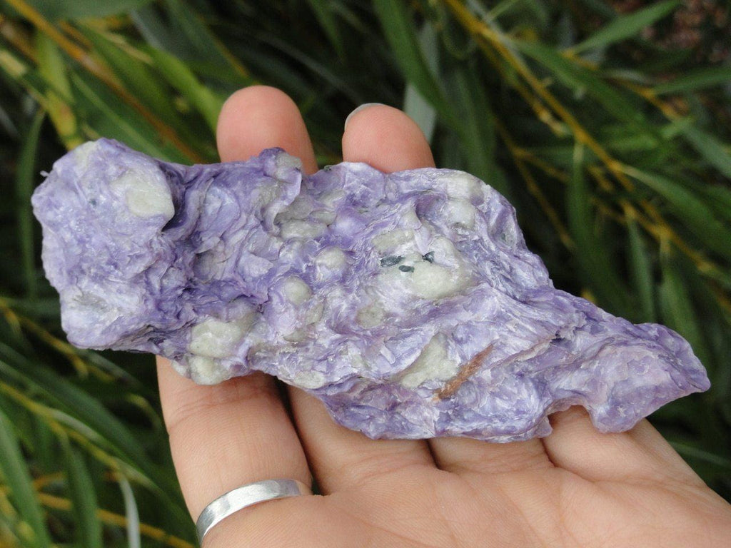 RAW CHAROITE SPECIMEN - Earth Family Crystals