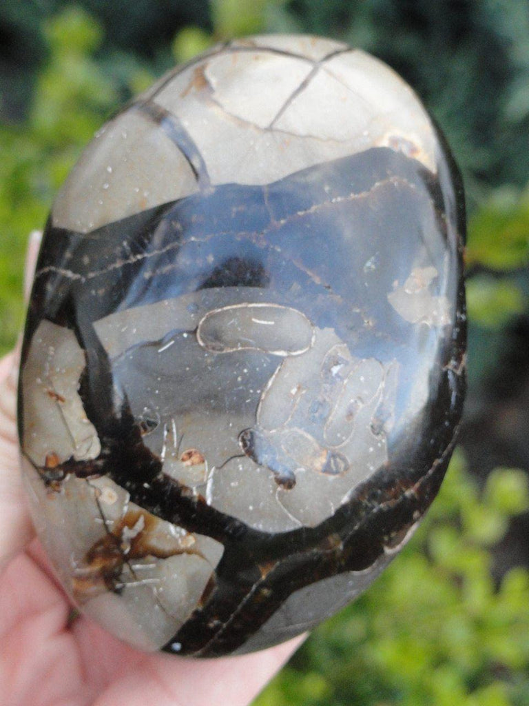 SEPTARIAN DRAGON EGG With Black Druzies - Earth Family Crystals