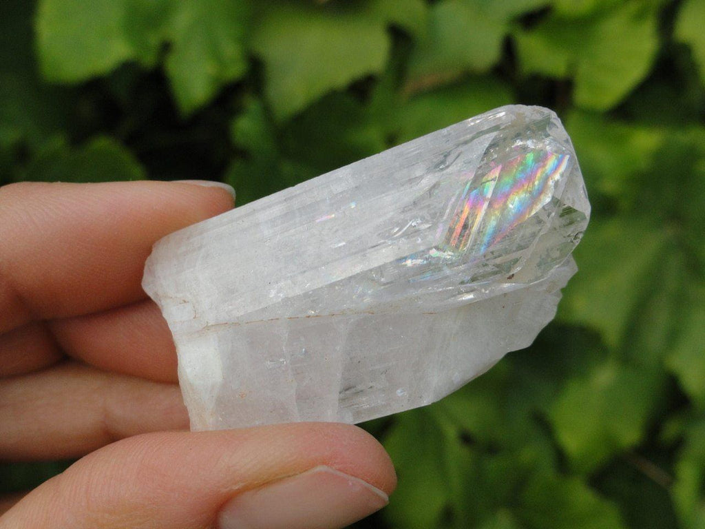 DANBURITE SPECIMEN - Earth Family Crystals