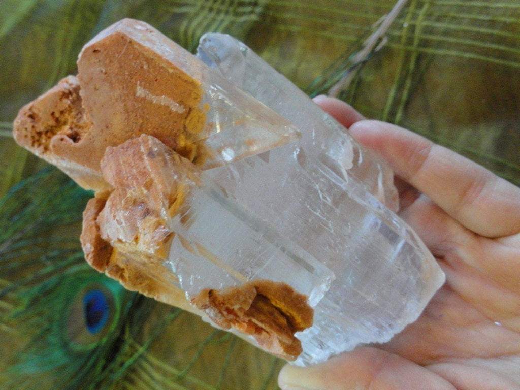 Giant OPTICAL SELENITE With Orange Clay Inclusions From Mexico - Earth Family Crystals