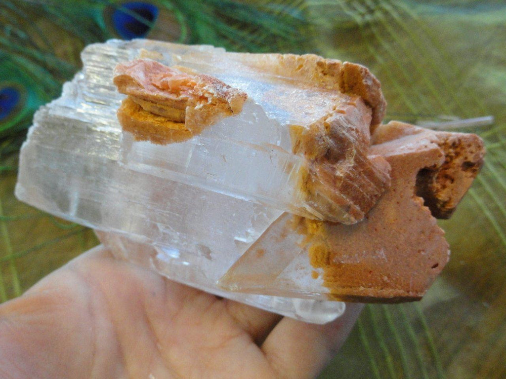 Giant OPTICAL SELENITE With Orange Clay Inclusions From Mexico - Earth Family Crystals