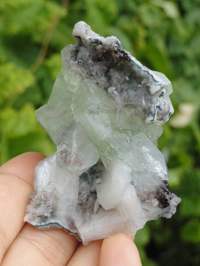 Gemmy GREEN APOPHYLLITE With PINK STILBITE Inclusions - Earth Family Crystals