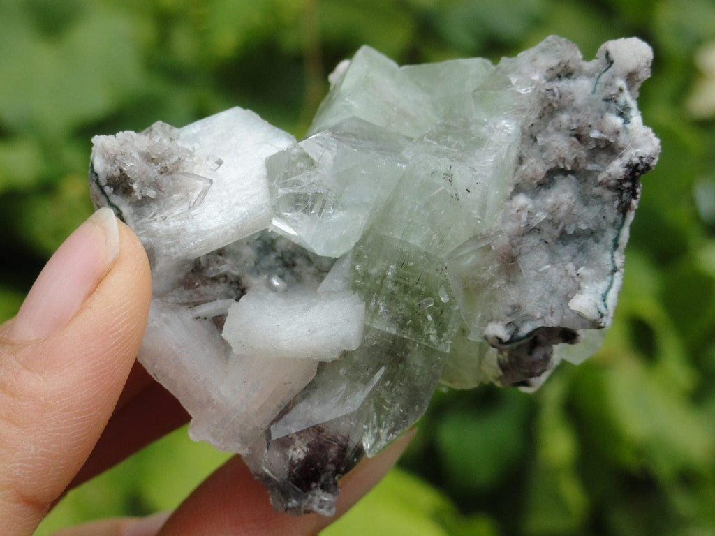 Gemmy GREEN APOPHYLLITE With PINK STILBITE Inclusions - Earth Family Crystals