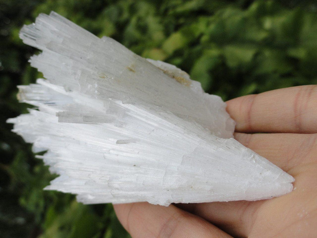 WHITE SCOLECITE FAN - Earth Family Crystals
