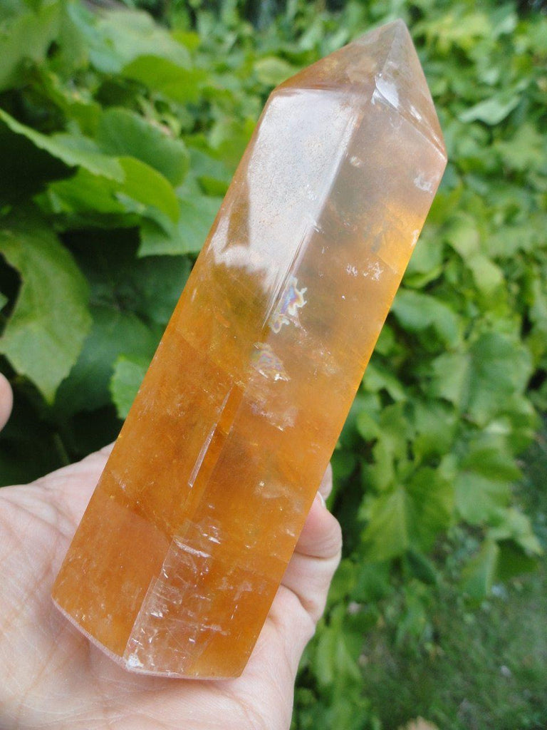 GOLDEN CALCITE GENERATOR - Earth Family Crystals