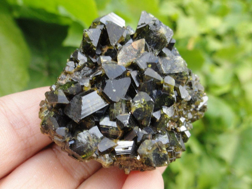 Deep Green EPIDOTE Crystal Cluster From Alaska - Earth Family Crystals