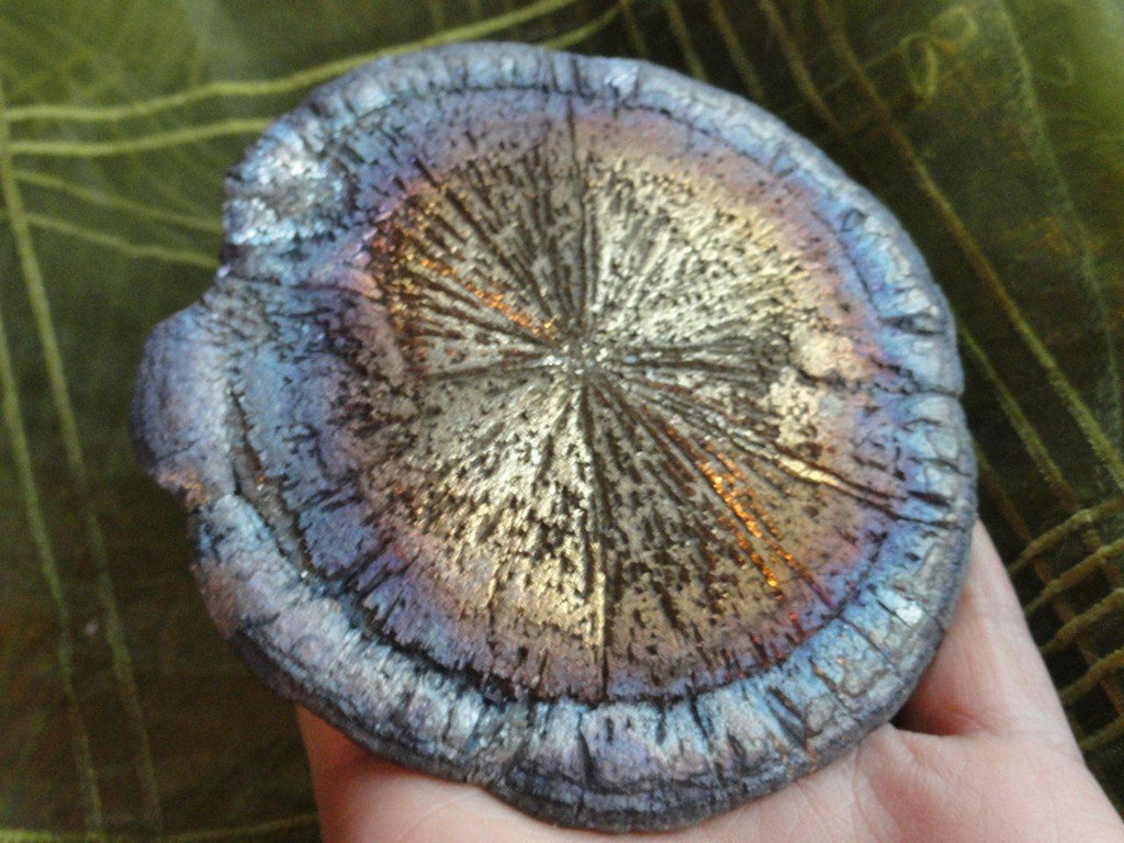 Ranbow PYRITE SUN from Sparta, Illinois - Earth Family Crystals