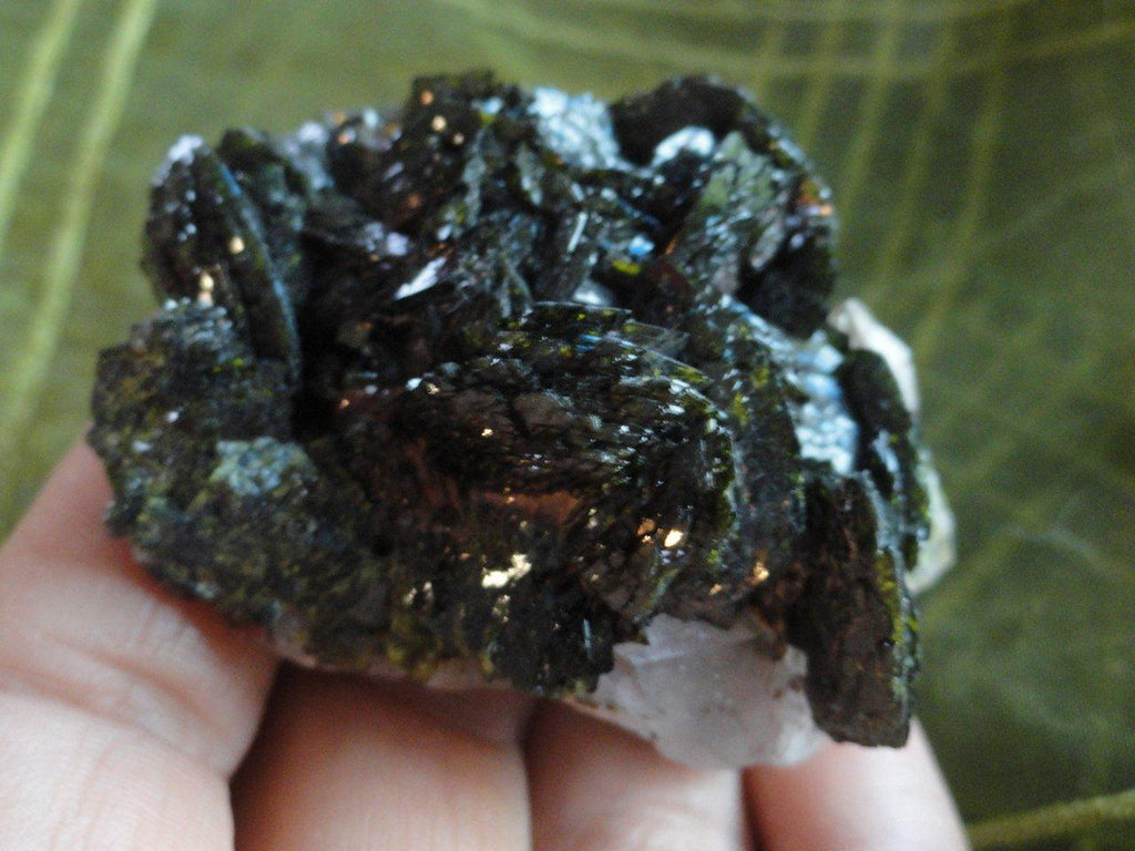 Lustrous GREEN EPIDOTE CRYSTAL CLUSTER on Clear quartz Points Matrix - Earth Family Crystals