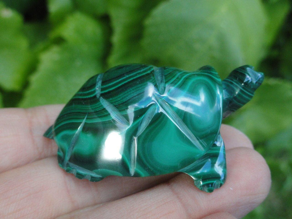 MALACHITE TURTLE CARVING* - Earth Family Crystals