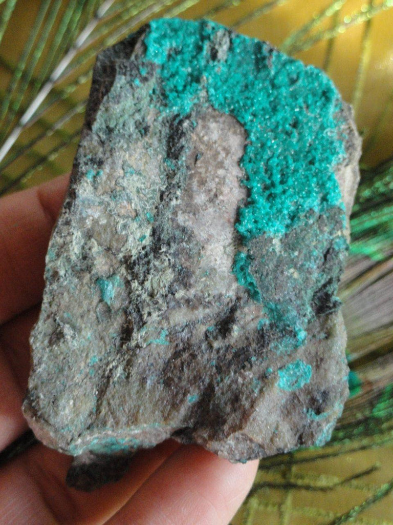 Emerald Green DIOPTASE on Matrix From Arizona - Earth Family Crystals