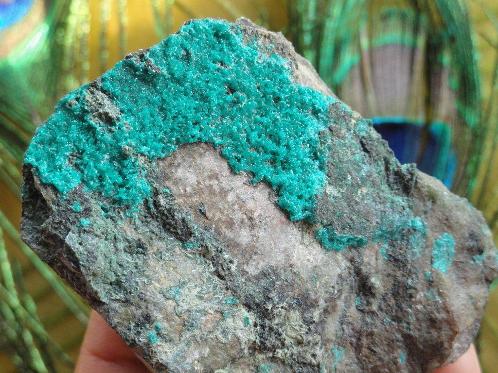 Emerald Green DIOPTASE on Matrix From Arizona - Earth Family Crystals