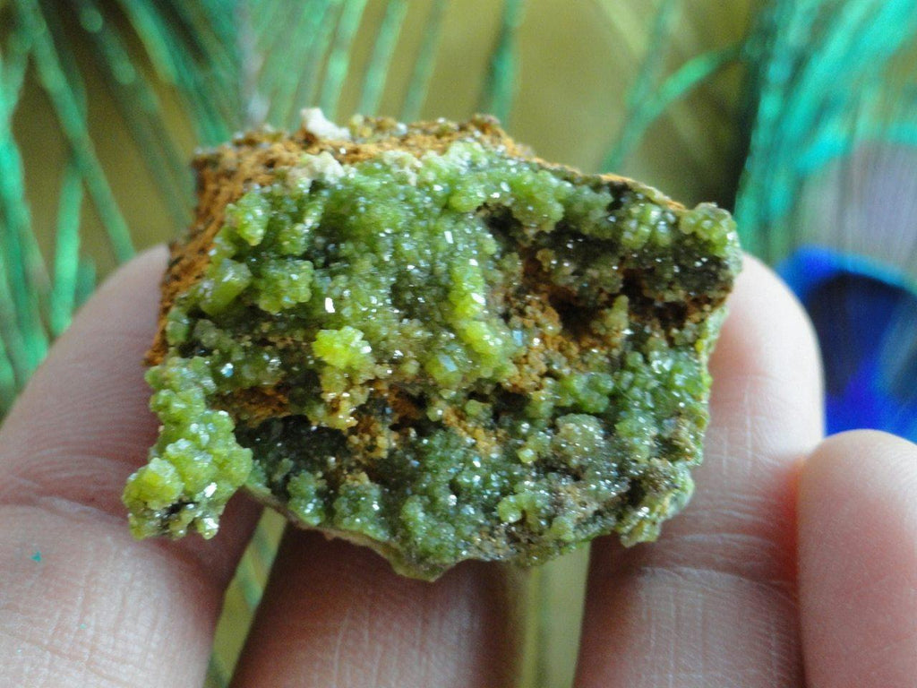 Lime Green Druzy PYROMORPHITE SPECIMEN From Spain - Earth Family Crystals