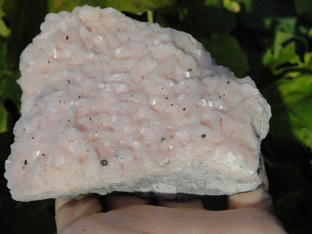 PINK DOLOMITE SPECIMEN - Earth Family Crystals
