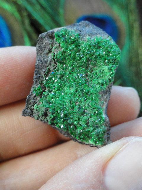 RARE! Gemmy Green UVAROVITE GARNET Specimen From Russia - Earth Family Crystals