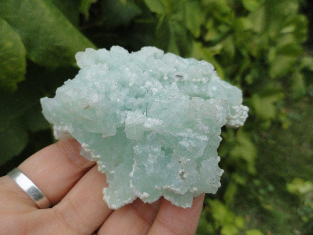 GREEN APOPHYLLITE CLUSTER With Clear Apophyllite Inclusions - Earth Family Crystals