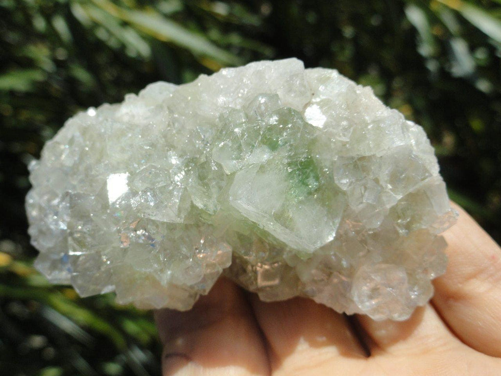 GREEN & CLEAR APOPHYLLITE CLUSTER - Earth Family Crystals