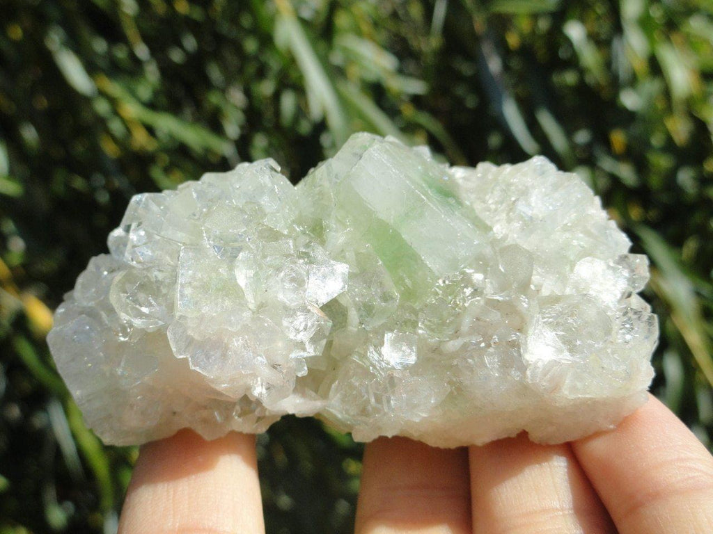 GREEN & CLEAR APOPHYLLITE CLUSTER - Earth Family Crystals