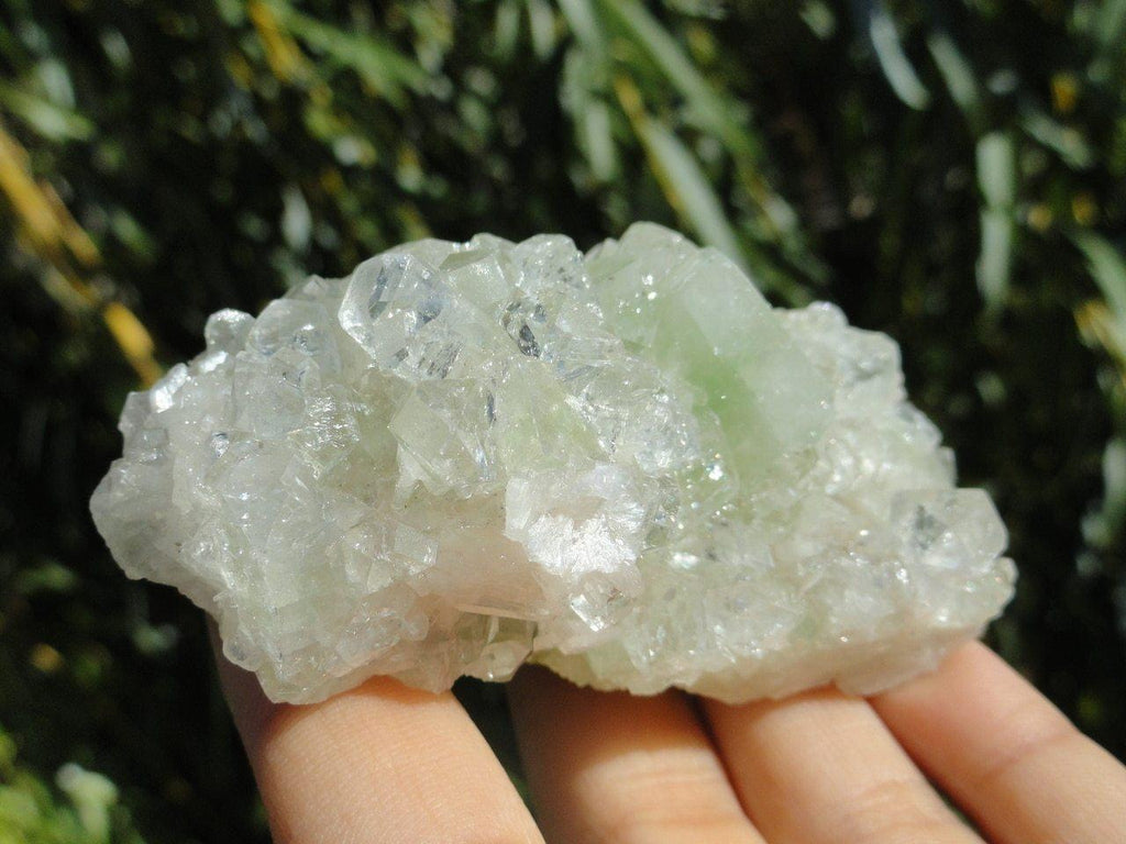 GREEN & CLEAR APOPHYLLITE CLUSTER - Earth Family Crystals