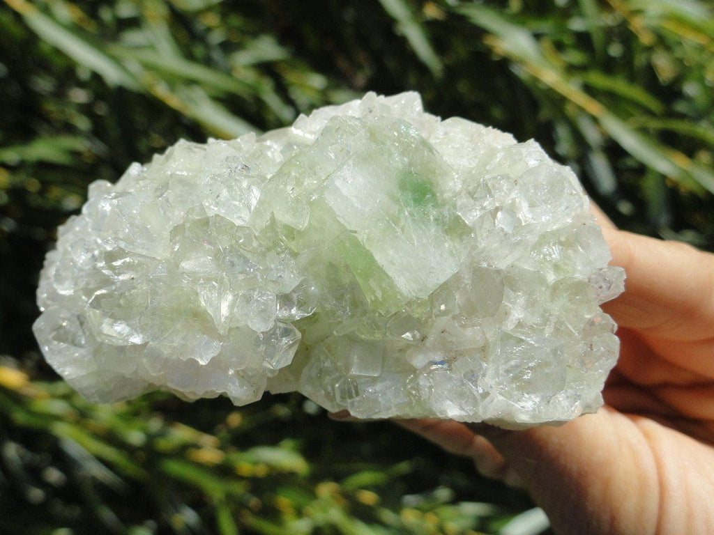 GREEN & CLEAR APOPHYLLITE CLUSTER - Earth Family Crystals