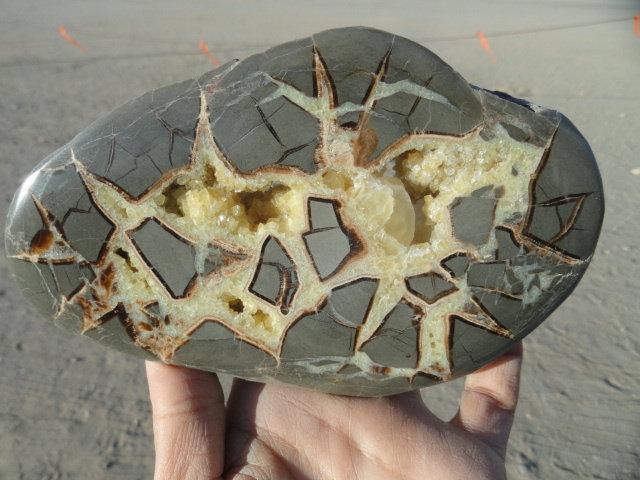 Utah SEPTARIAN One Side Polish Slice with Yellow Calcite Crystal Druzy Interior (Includes Free Stand) - Earth Family Crystals