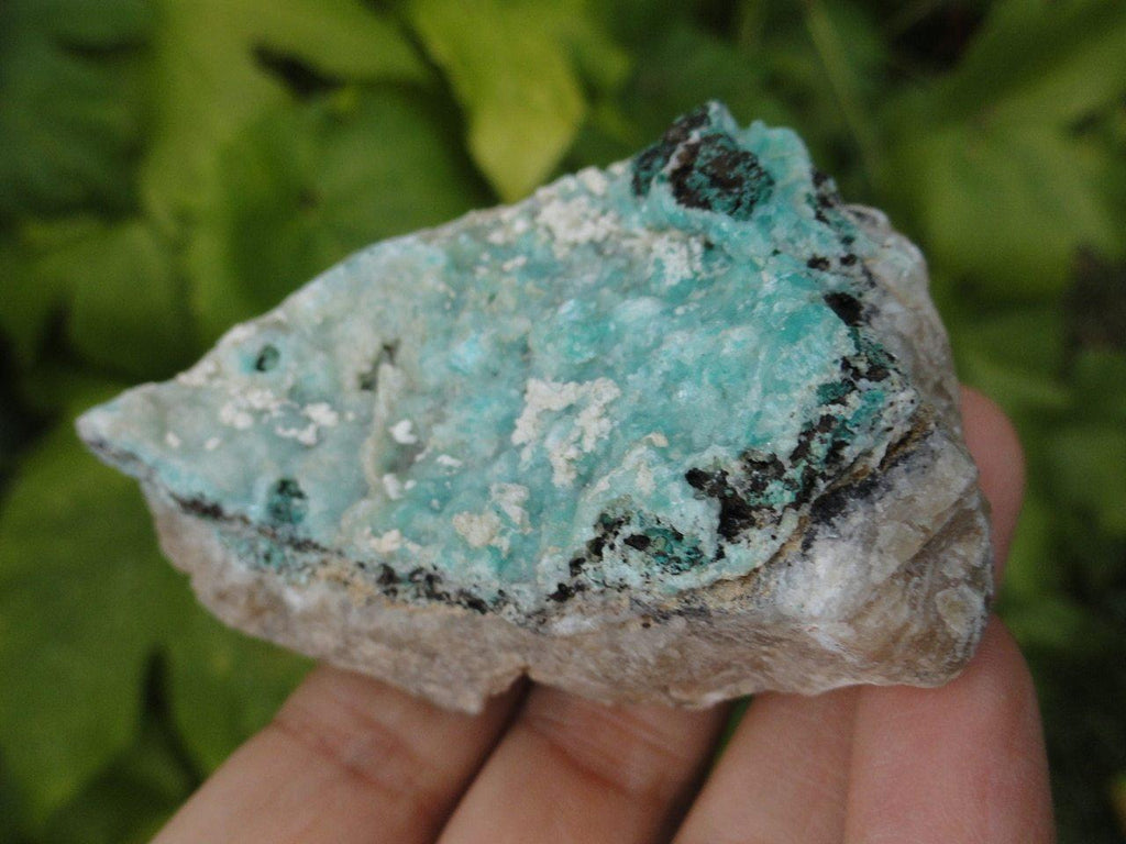Blue Hemimorphite Specimen - Earth Family Crystals