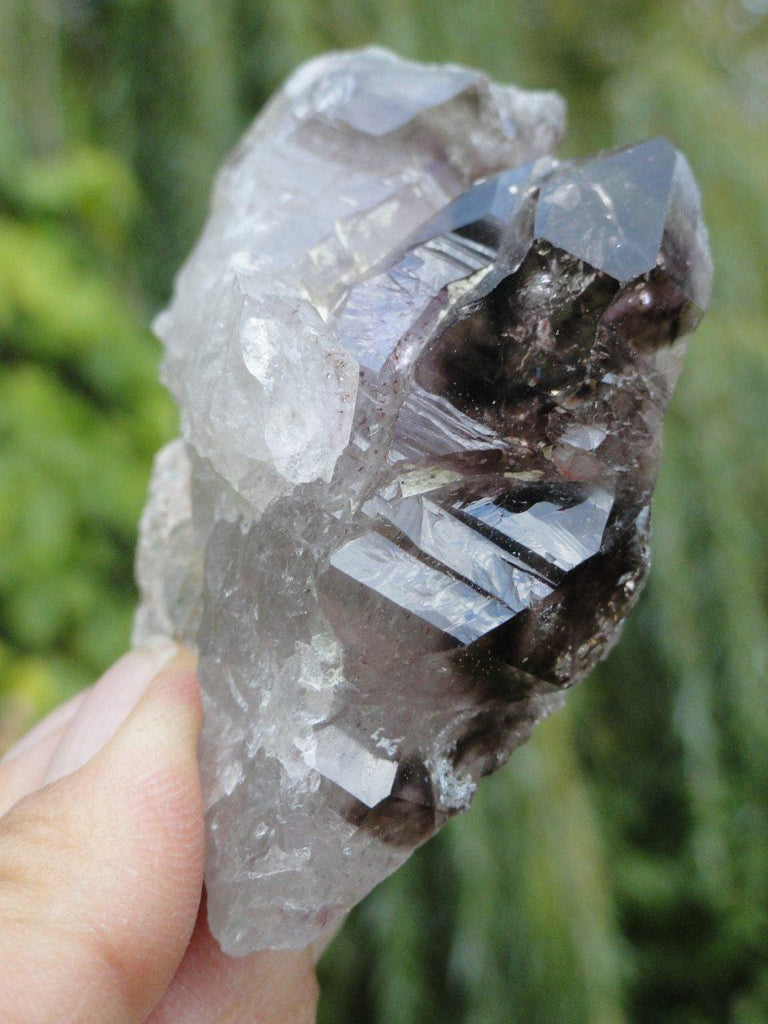 SMOKY QUARTZ With AMETHYST Inclusions From Nambia - Earth Family Crystals