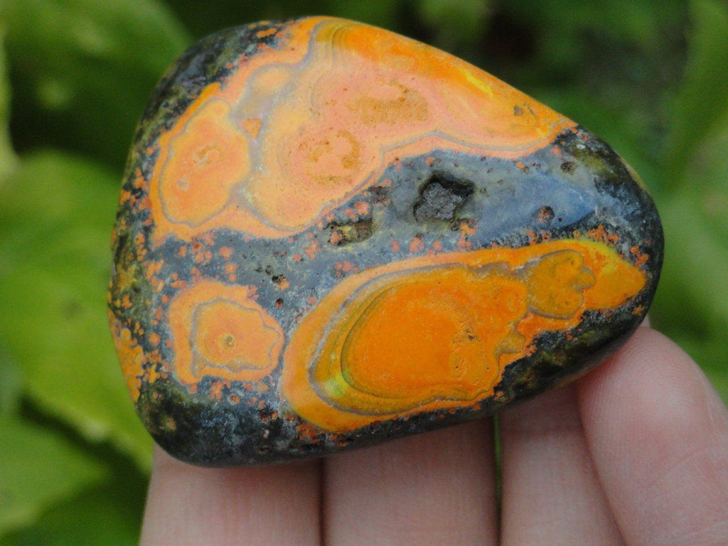 RESERVED For Sonja~ BUMBLEBEE JASPER Palm Stone** - Earth Family Crystals