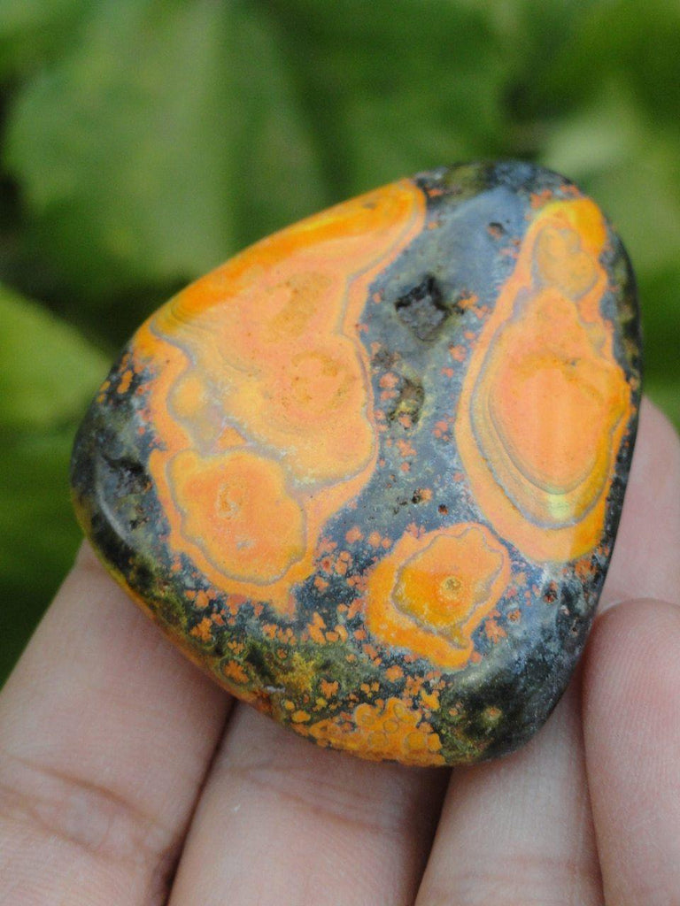 RESERVED For Sonja~ BUMBLEBEE JASPER Palm Stone** - Earth Family Crystals