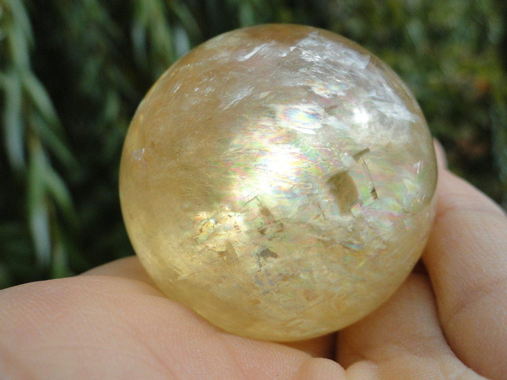 Golden HONEY CALCITE SPHERE - Earth Family Crystals