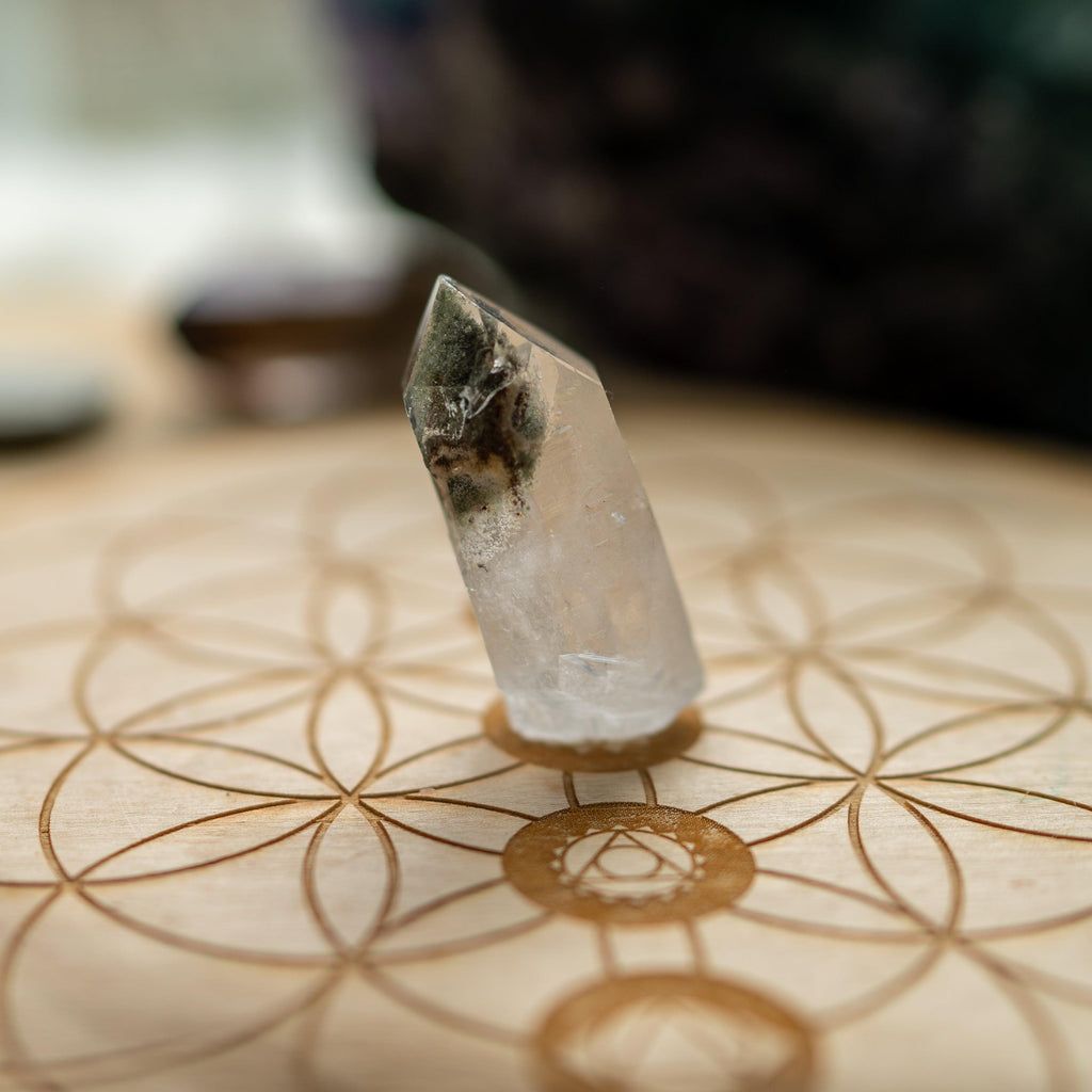 Elestial Quartz with Chlorite Phantom ~ From Brazil - Earth Family Crystals
