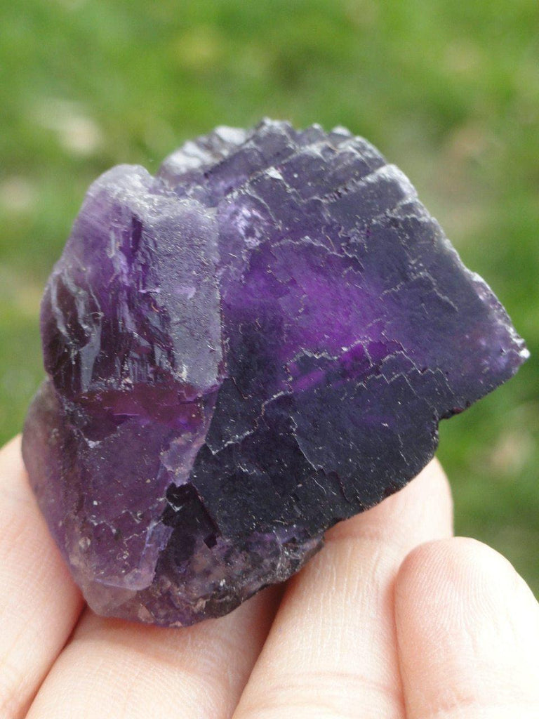 MIDNIGHT FLUORITE SPECIMEN From Mexico* - Earth Family Crystals