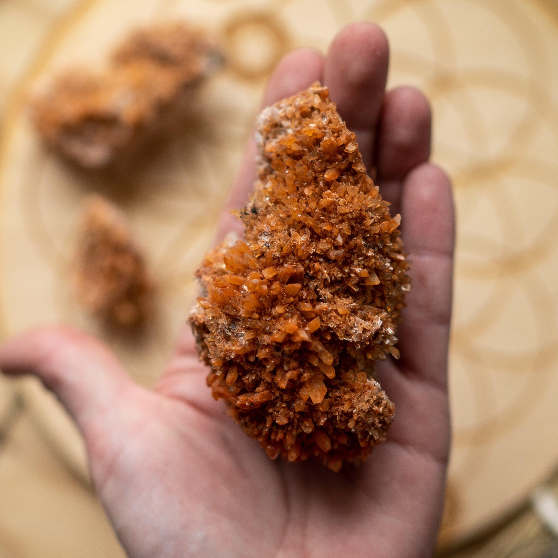 Sparkly and  Spiky Orange Creedite Specimen - Locality Mexico ~ Set of 3 - Earth Family Crystals