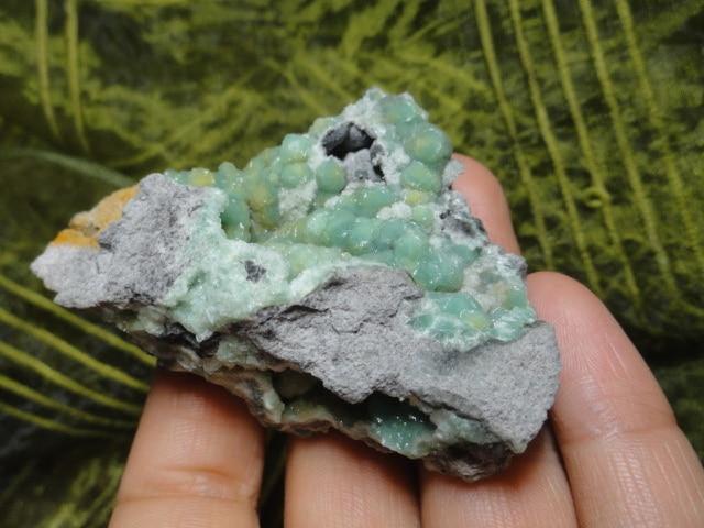 Gorgeous Lime Green Botryoidal WAVELITE From Arkansas - Earth Family Crystals
