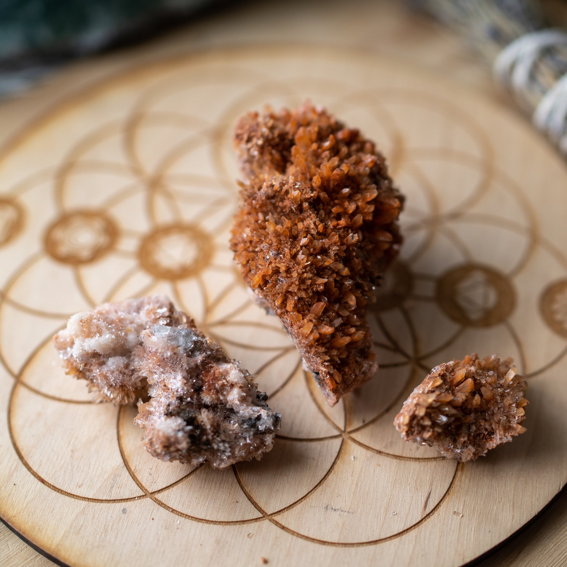 Sparkly and  Spiky Orange Creedite Specimen - Locality Mexico ~ Set of 3 - Earth Family Crystals