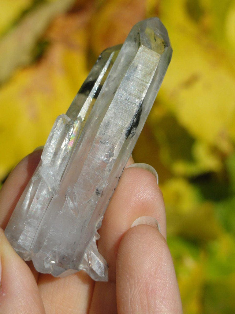 TWIN TIBETAN QUARTZ SPECIMEN - Earth Family Crystals