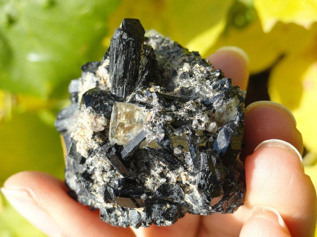 Large AQUAMARINE Crystals In BLACK TOURMALINE Matrix From Namibia - Earth Family Crystals