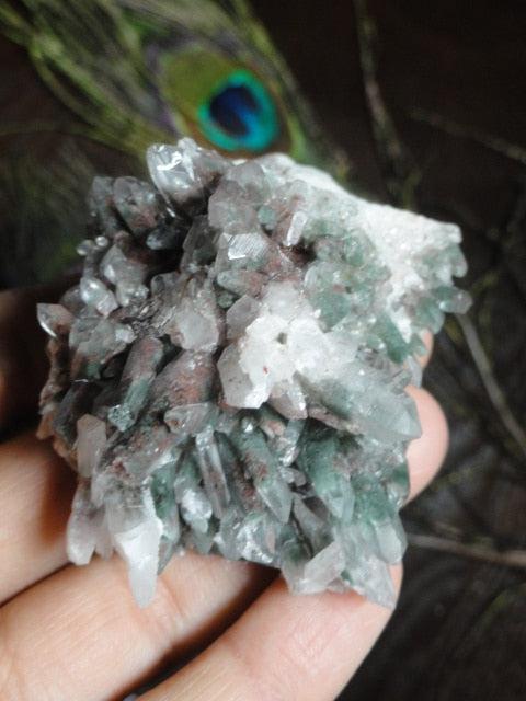Powerful GREEN CHLORITE CRYSTAL CLUSTER - Earth Family Crystals