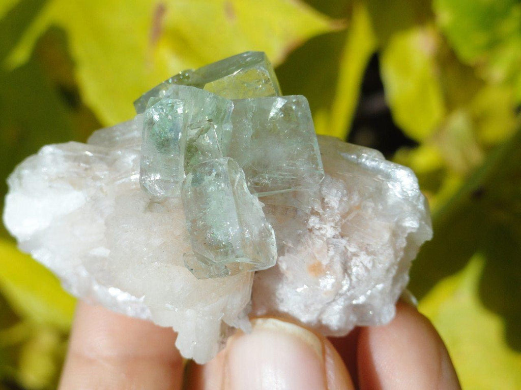 Gemmy GREEN APOPHYLLITE & PINK STILBITE CLUSTER - Earth Family Crystals