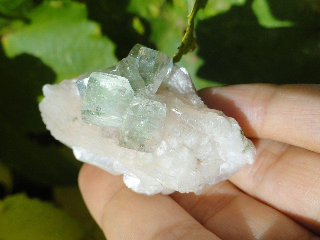 Gemmy GREEN APOPHYLLITE & PINK STILBITE CLUSTER - Earth Family Crystals