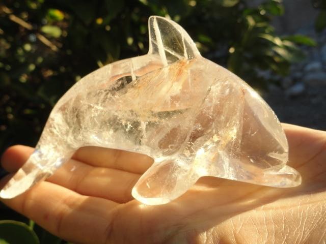 Adorable Brazilian CLEAR QUARTZ DOLPHIN CARVING - Earth Family Crystals