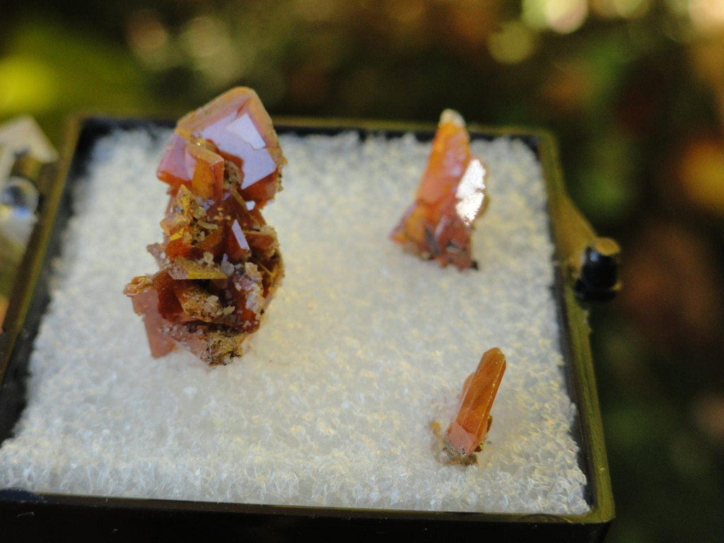 WULFENITE From Red Cloud Mine, AZ In Collectors Box - Earth Family Crystals