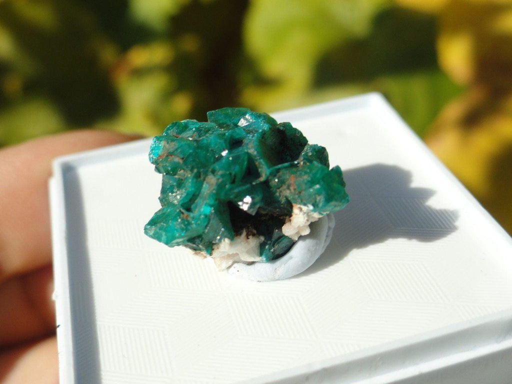 EMERALD GREEN DIOPTASE CLUSTER In Collectors Box - Earth Family Crystals