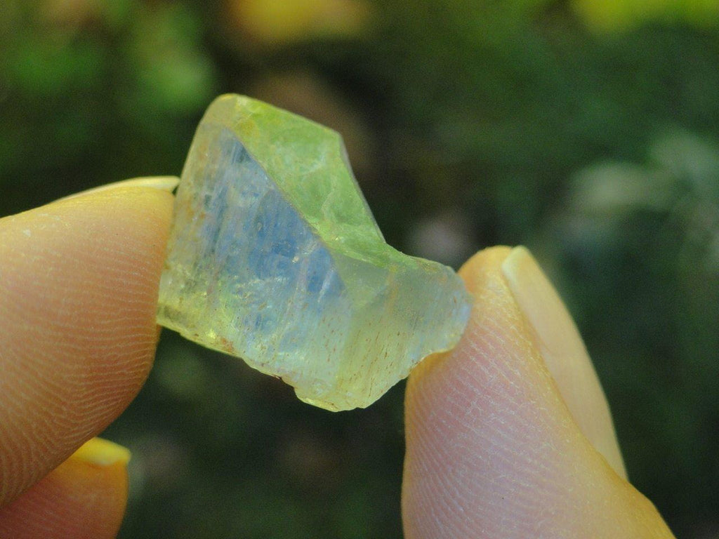 BLUE TOPAZ SPECIMEN From  Park Co., Colorado (Includes Collectors Box) - Earth Family Crystals