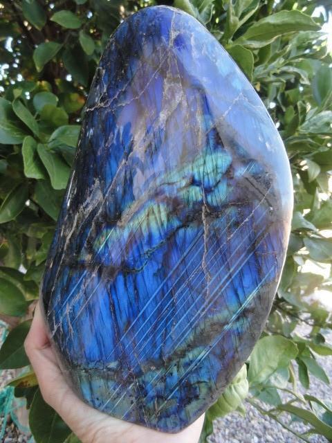 Staggering Beauty!  Cobalt Blue LABRADORITE Self Standing Display Specimen - Earth Family Crystals