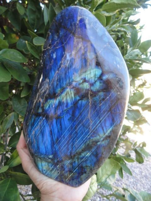 Staggering Beauty!  Cobalt Blue LABRADORITE Self Standing Display Specimen - Earth Family Crystals
