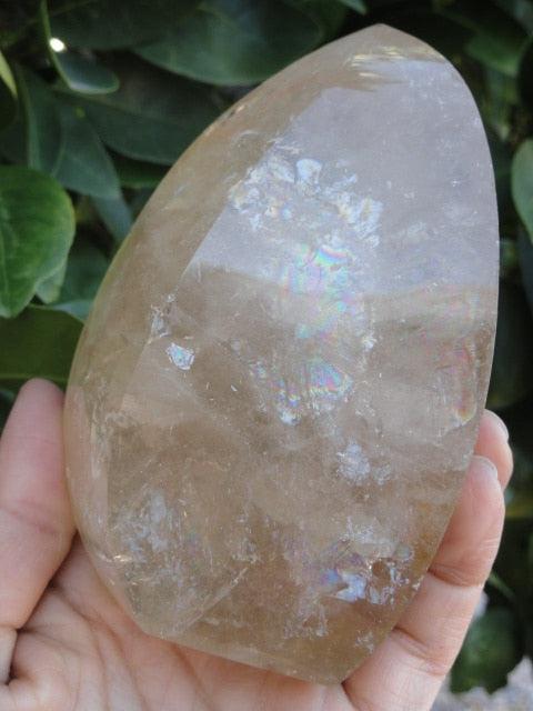 Mega Rainbows! Natural CITRINE Self Standing Specimen From Brazil - Earth Family Crystals