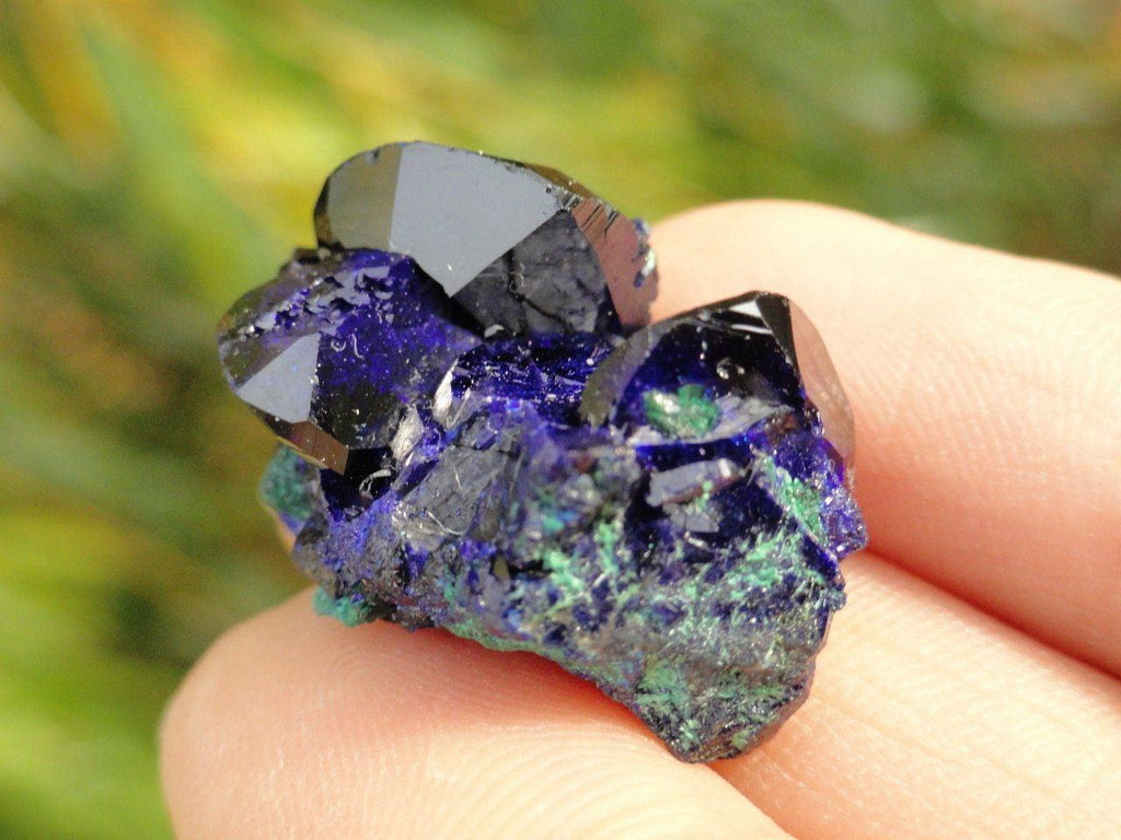 Terminated Gemmy Crystal AZURITE SPECIMEN With Malachite Sprinkles From  Milpillas Mine, Mexico - Earth Family Crystals