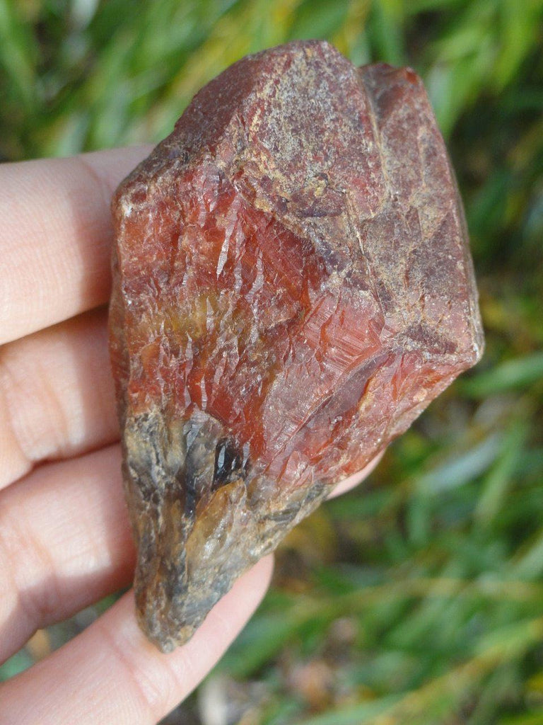 RARE! Red Tipped Amethyst Point From Brazil - Earth Family Crystals