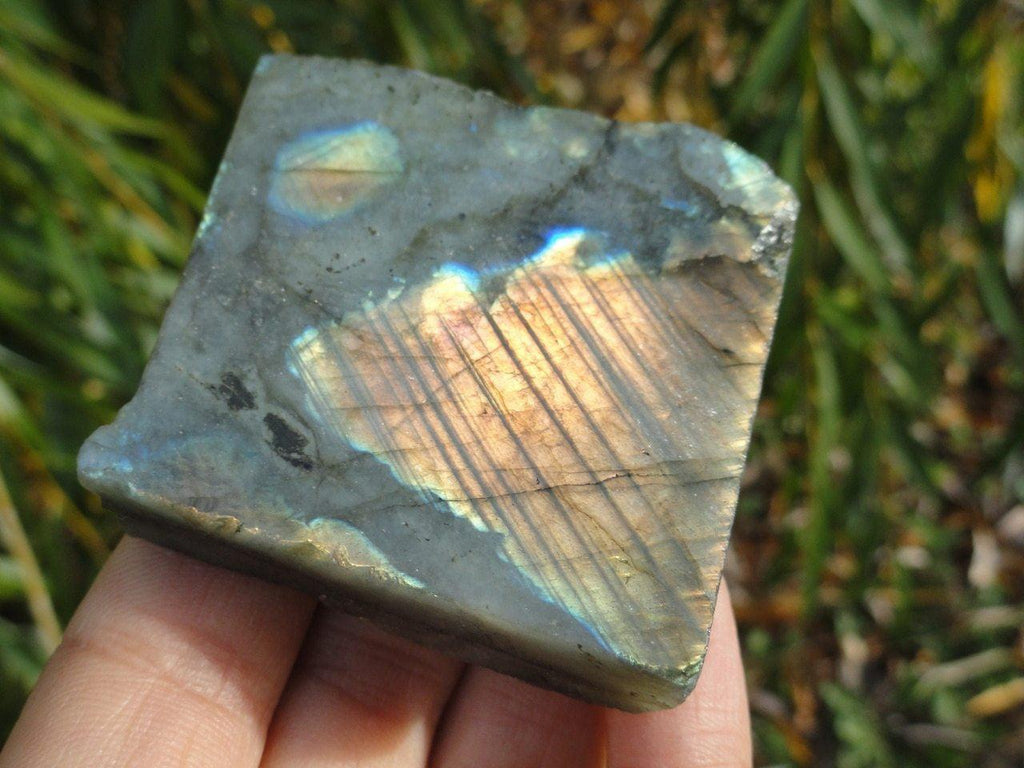 LABRADORITE One Side Polished Free-Form - Earth Family Crystals