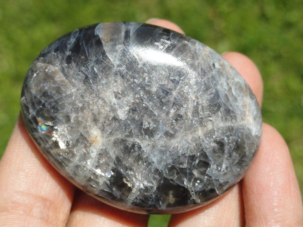 BLACK MOONSTONE PALM STONE~ Stone of Psychic Protection - Earth Family Crystals